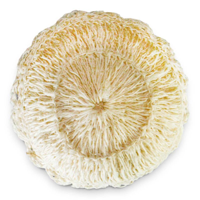 Esponja de aseo personal (mini) ECOBUTIK