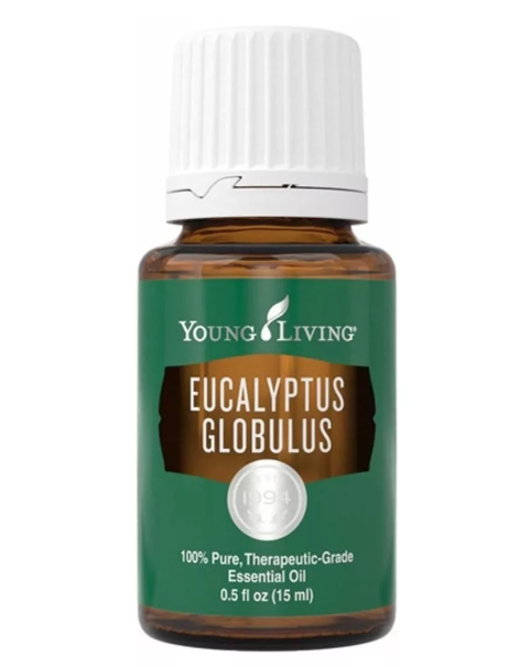 Eucalyptus Globulus 15ml young living