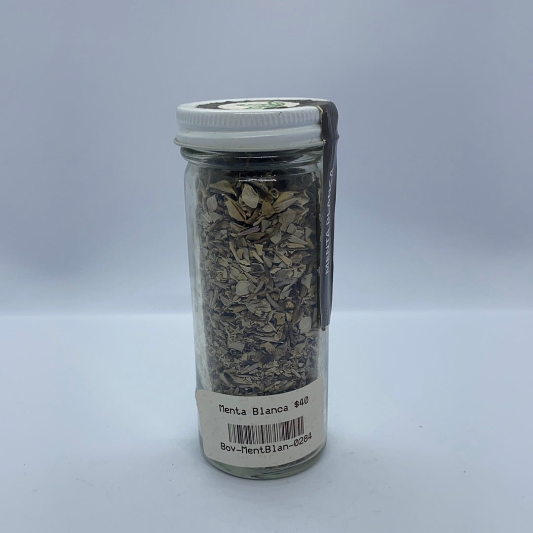 Menta blanca
