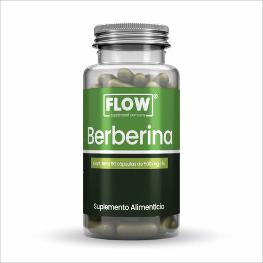 Berberina 500 mg 90 cap