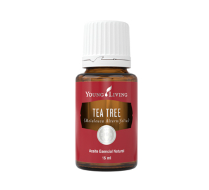 TEA TREE 15 ML YOUNG LIVING
