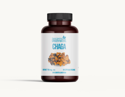 Hongo Chaga Orgánico en Cápsulas ORIGEN NATIVO