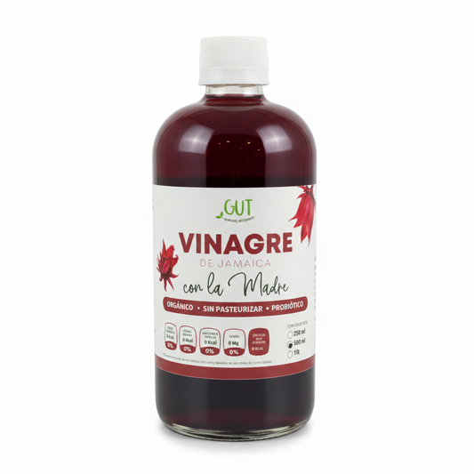 Vinagre de Jamaica 500ml GUT